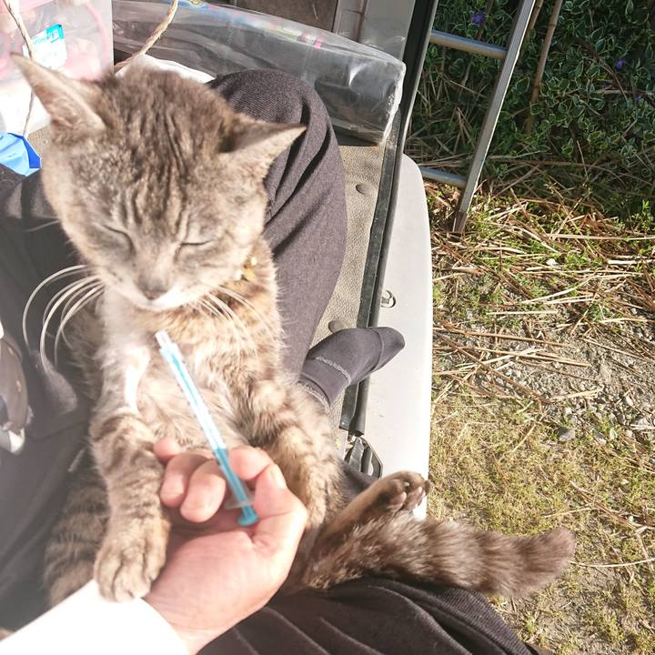 8c7277ff 96c2 4ae6 ac6a 575631ae8955 1590702032323