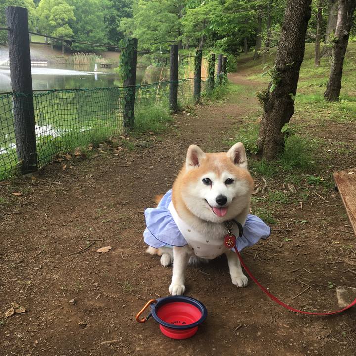 8c727edf 70f2 45c5 bca1 986be43da75c 1621073649587