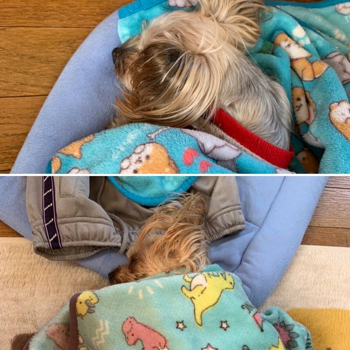 8c72d4b1 1647 44b3 8c76 2a3a6aac3334 1648204554469