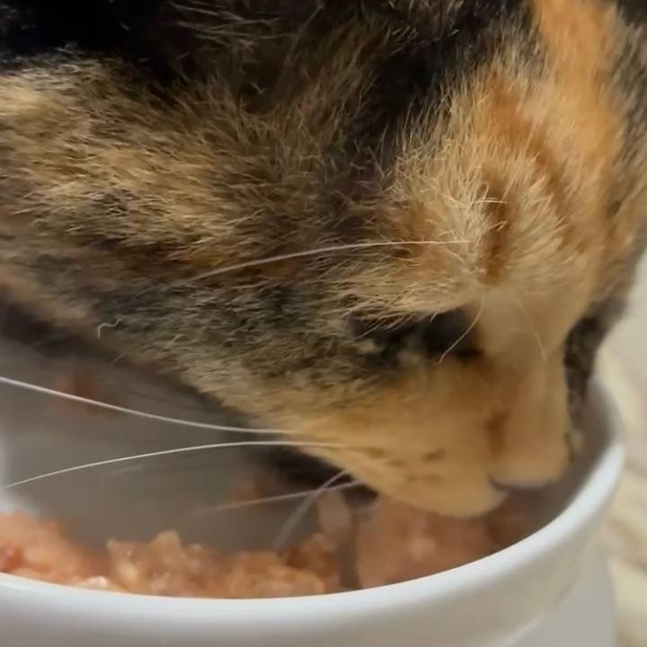 8c7318a8 95e7 4979 81df 04e9177cf42a 1763440583753