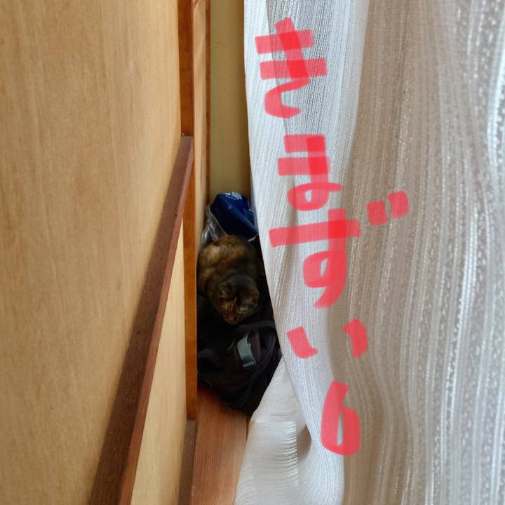 8c7366b7 db31 46ae bda8 93e5295f5f7e 1537074728575