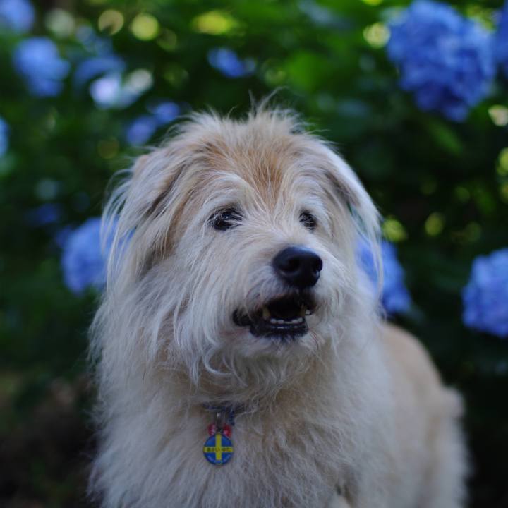 8c7385a6 26aa 45f7 a5d7 35e91d5e9a79 1655487874838