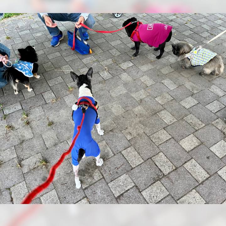 8c73d622 4631 4265 8e22 c87e6b489103 1653786601973