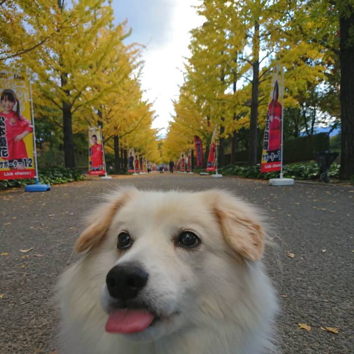 8c73fbd8 4463 4147 b236 ac861c7f9c19 1540711936572