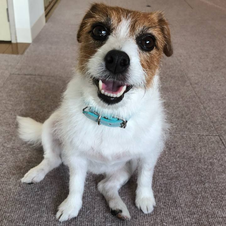 8c740814 83b6 48a6 a7ce 97102220982f 1559248368880