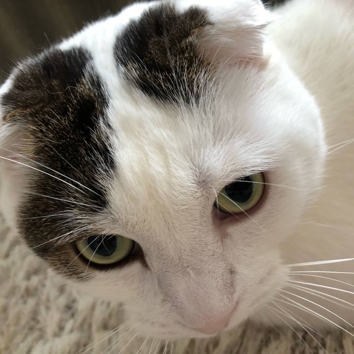 8c741080 989d 499f ad64 a58a430b8ded 1529209371960