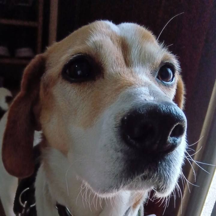 8c741c47 c995 49eb a041 dd84693ac59b 1742294007110