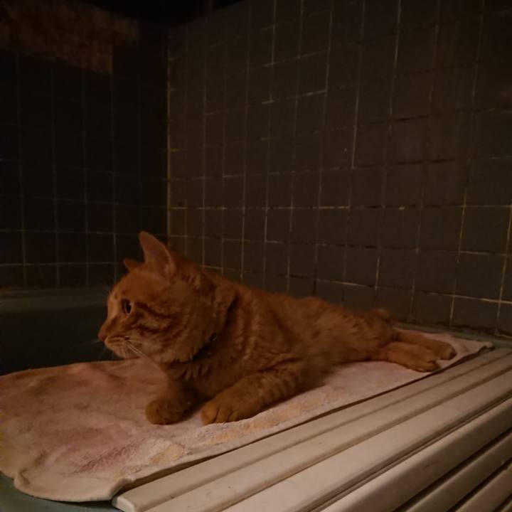 8c743dbc 2246 4bec a939 0b7b9d4e5e58 1655897576676