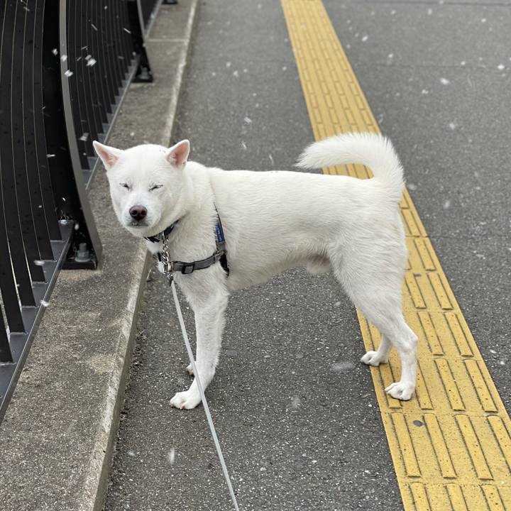 8c745b3c d693 462d b121 ca669bb2af9b 1611891098579