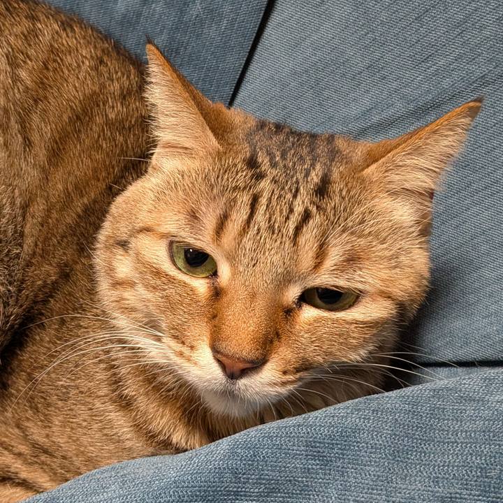 8c7465ee 1729 4e45 91ad a5cc236c6d46 1768429050706