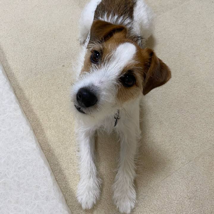 8c746718 6f1e 41f2 a4ab 89fc77d1ac29 1743199441119