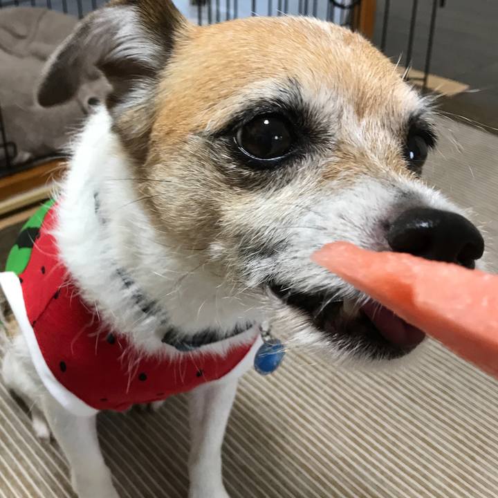 8c74a617 cb10 4a15 be86 746be0326661 1595818803501