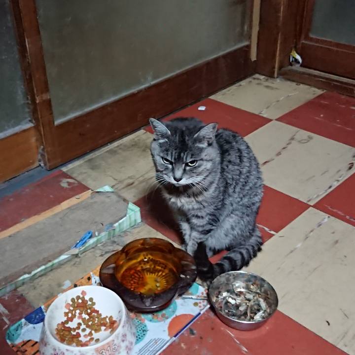 8c74a76b 47da 4174 99d5 9c57c505061f 1577483360417