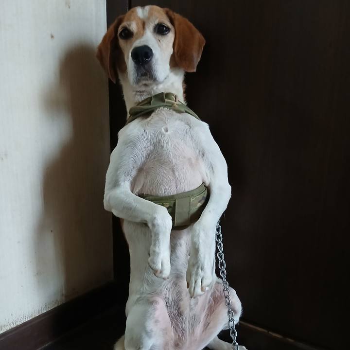 8c750aa2 6f14 49b6 9158 b2f160adb75a 1754982494174