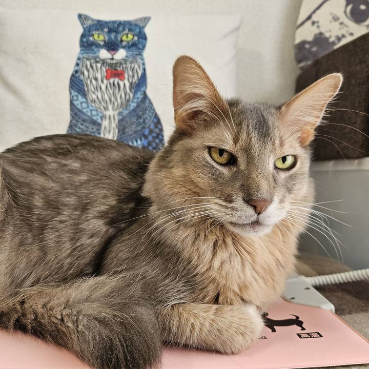 8c7541c4 a064 4088 bd89 3d99b1ff47bc 1743482927307