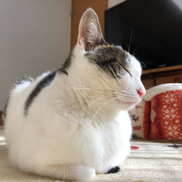 8c754686 f7d2 47e2 9756 eff703cac9d9 1705292408943