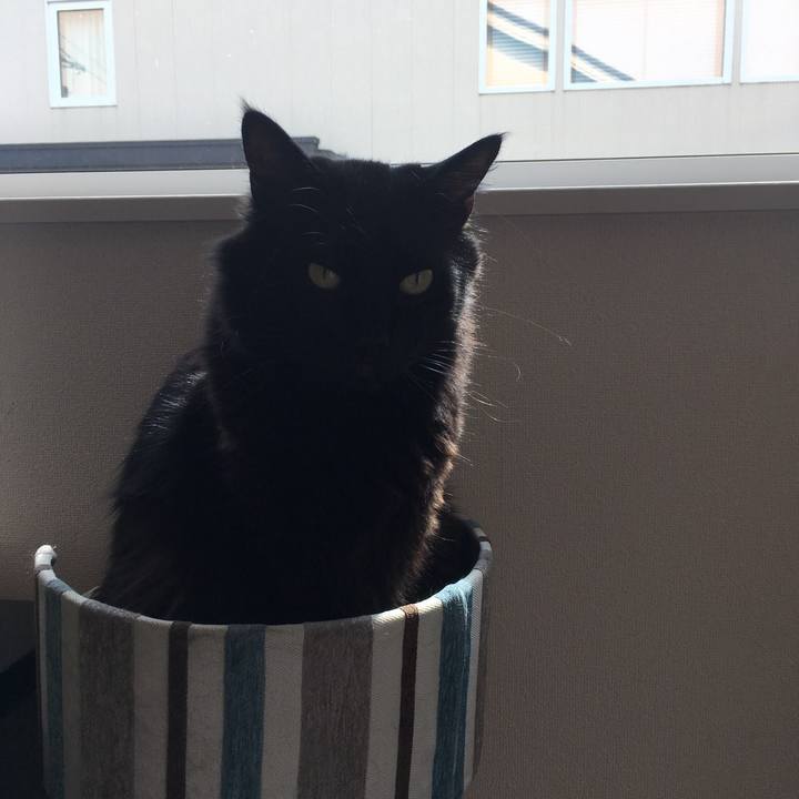 8c755329 393d 4807 b9a2 7507f2fb7088 1522201708637