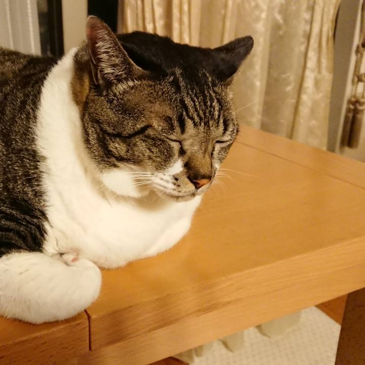 8c756028 b1cc 484d 8ec1 c8df7c70c990 1537355568924