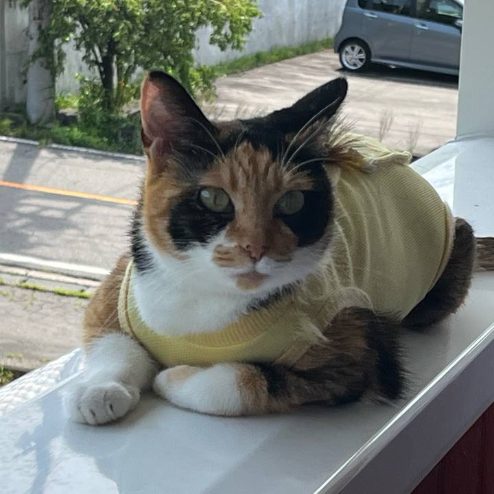 8c75911f 2068 4366 a97c 3922c158a78f 1660537298192