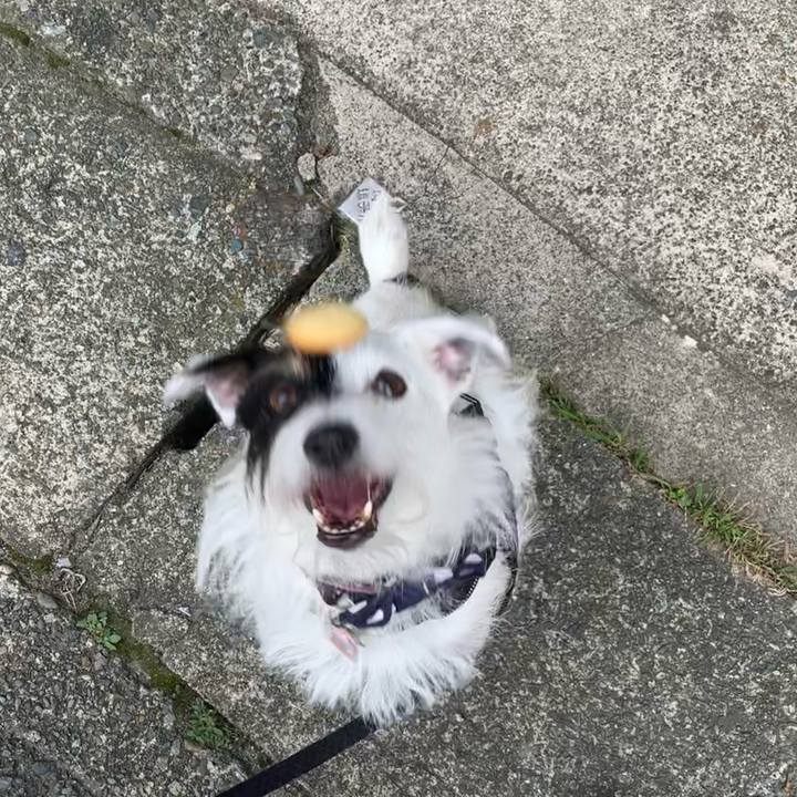 8c75ead6 06e9 4122 b666 c9a815a94d3f 1664408981376