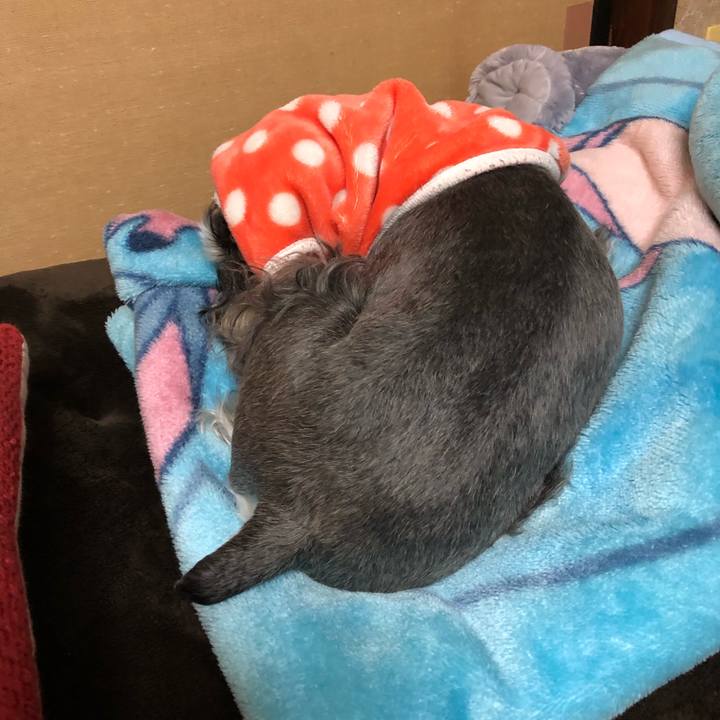 8c7609d1 8c1e 4fe6 a24c 552f63dbe310 1552135786655