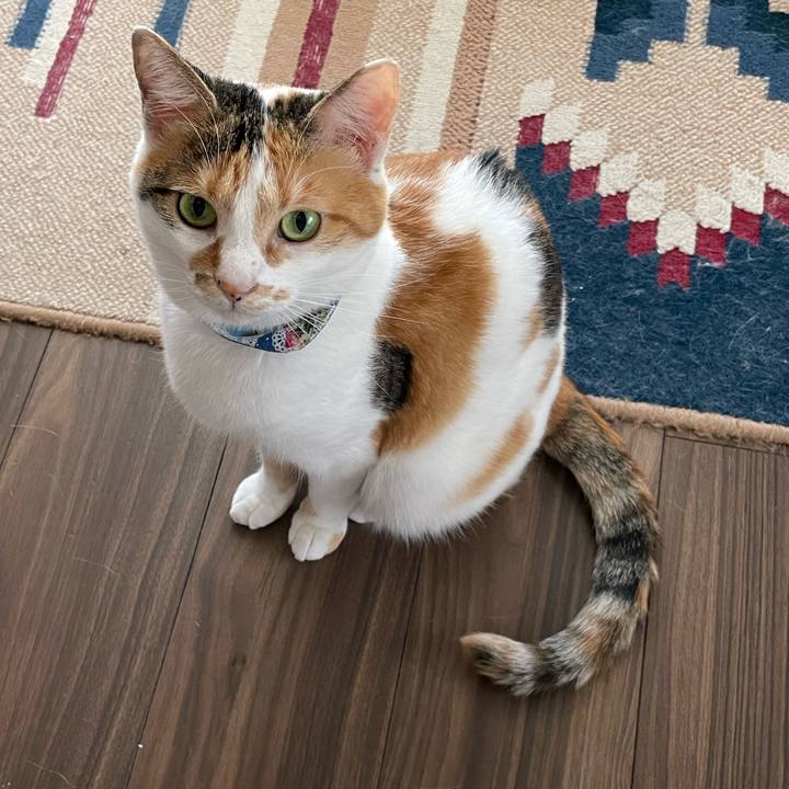 8c762cc8 be33 428c ba65 23dae9de88dd 1693265639981