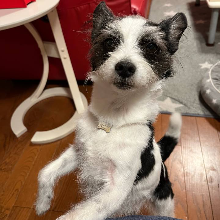 8c76ce1c 6edc 4324 abad 8ee143267177 1676516288781