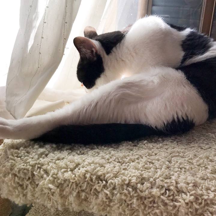 8c77006a 5431 41ce b2bc d2a7f4494c79 1511918065171