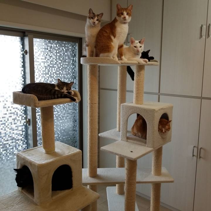 8c7739d6 005d 4b12 b8bb 15e5335d4913 1525757548414