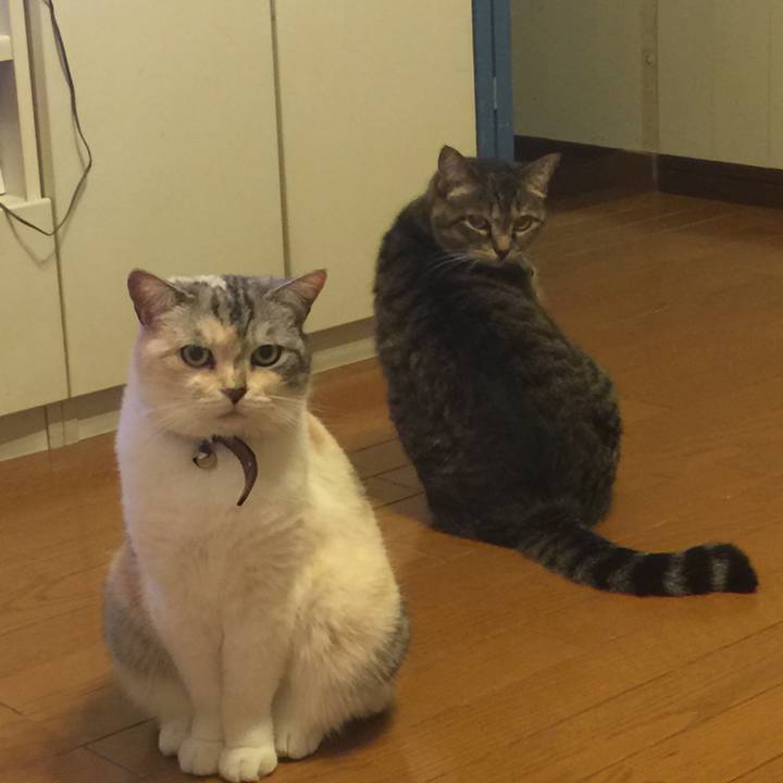 8c77a9c5 fa12 4922 8276 42189a8a229d 1559564943783