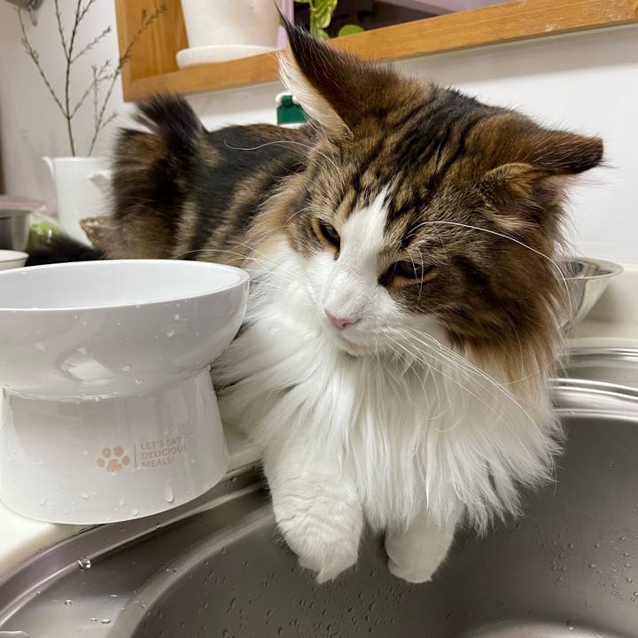 8c783eeb 270a 496e b75c 418907f57a82 1645780864375