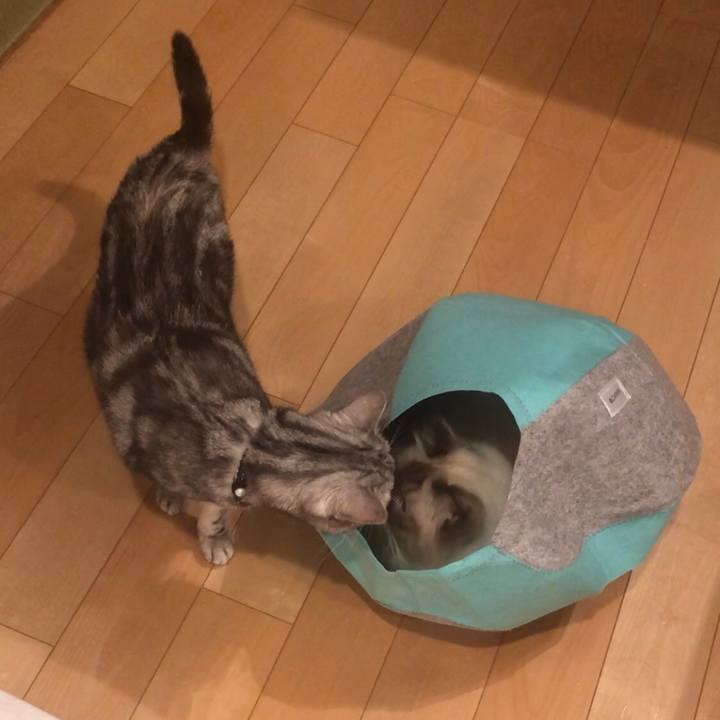 8c7848ca 28bc 4ea4 98f4 4b4274589632 1571282786016