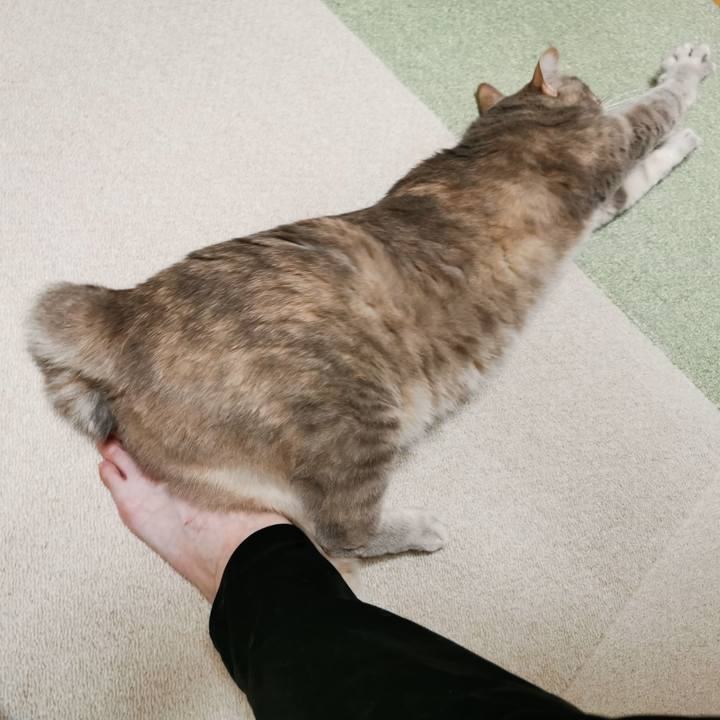 8c78b17c 6aa6 4d4b b6cd 308dd18ac243 1678200876394