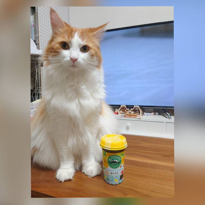 8c78dd03 0f73 4439 9019 332f8195da33 1599536702601