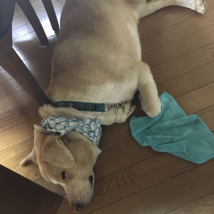 8c78e299 7ff1 4ec6 b442 6972b94d6bad 1533945915170