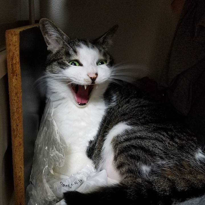 8c78fcbe 5eb4 4f05 968a fbb418f26c67 1621513502376