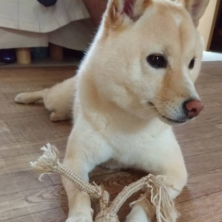 8c78fd38 cdad 4722 984e ee515ba78c5c 1565734837720