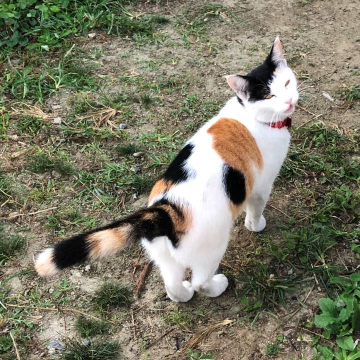 8c791ed4 5ca7 46aa 985d f465784b599b 1633384334311