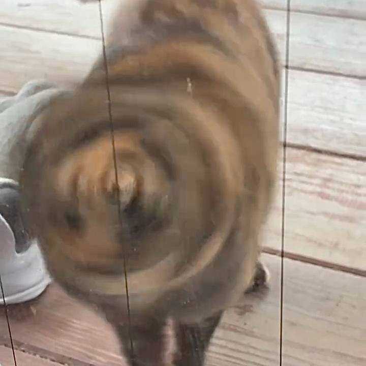 8c7939a0 458b 460e 84f0 acc101eb0818 1770259926224