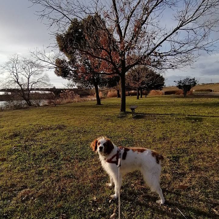 8c794bed b3d1 4cf2 af6f 47ad3a84a812 1579334833027