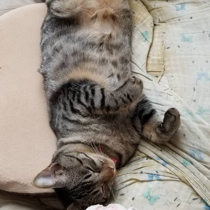 8c796248 2719 4343 a6ab 6f0b3c4f8250 1686149188150