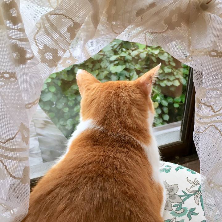 8c79655e 25d8 4ec6 a5f2 d17f628e3736 1569215747979