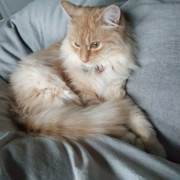 8c7980d3 aadc 4568 a69b 17b2a6e78733 1649995530313