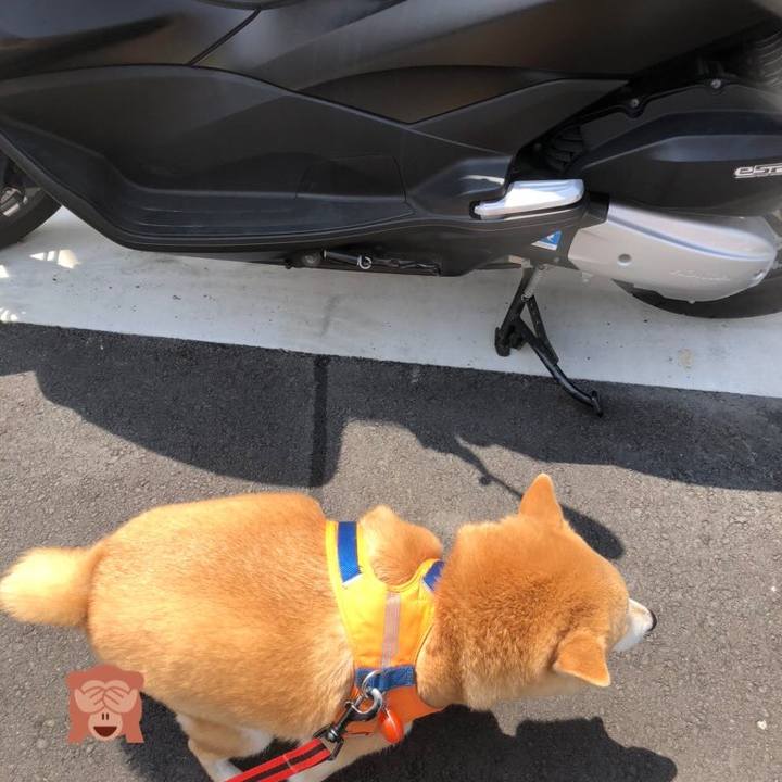 8c79825f 6580 469b bee6 95cc49fac5cd 1588029463706