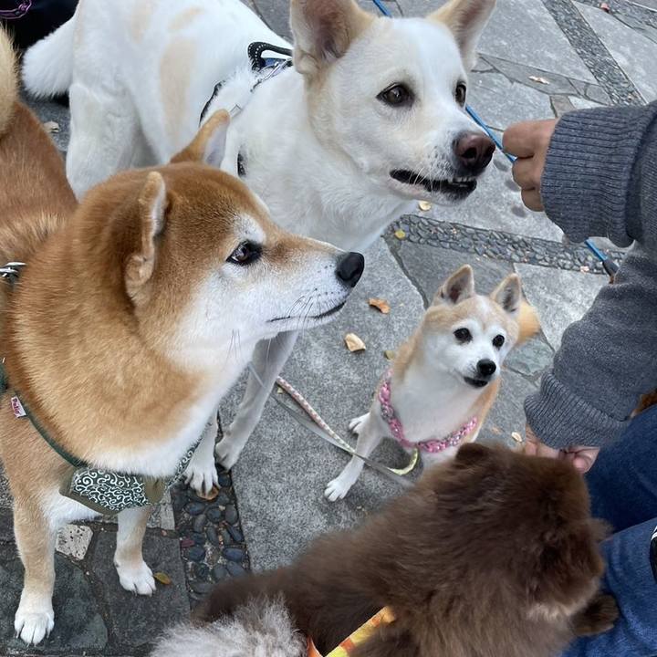 8c79a3af 660f 43bd 824d 8719e0b3970d 1667931698981