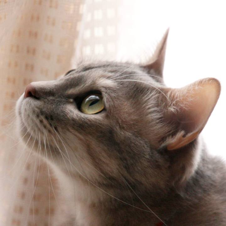 8c79a4d8 0f8a 4d5b ad99 df4b35bbec07 1550893968878