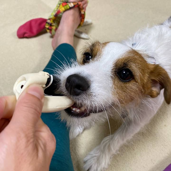 8c79b5a7 a530 4c7c 97a4 0ace2e00036d 1666393921292