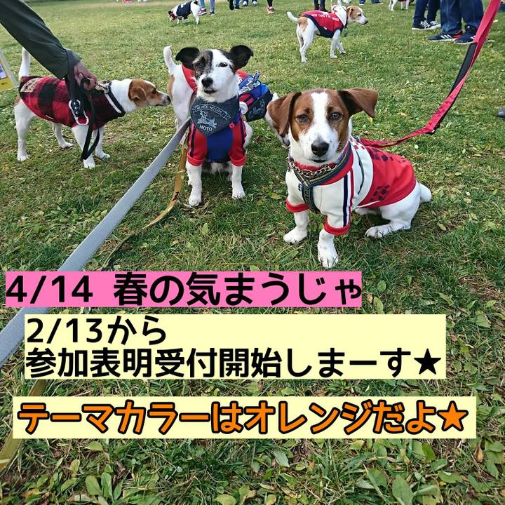 8c79c0fb c505 4f9c be9f 32cae13216fa 1549536632602