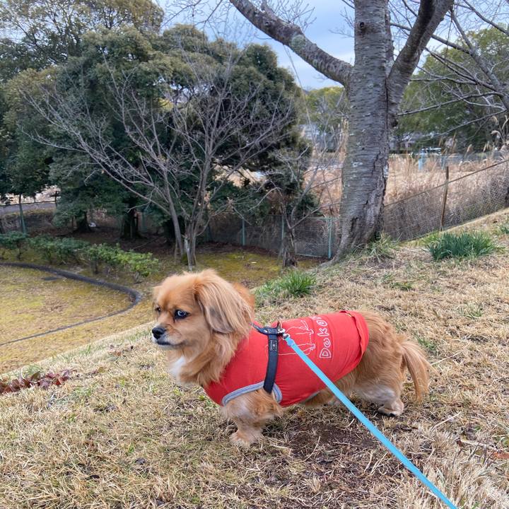 8c79c3f2 6387 4eb3 b881 53b7074a793d 1610846039592