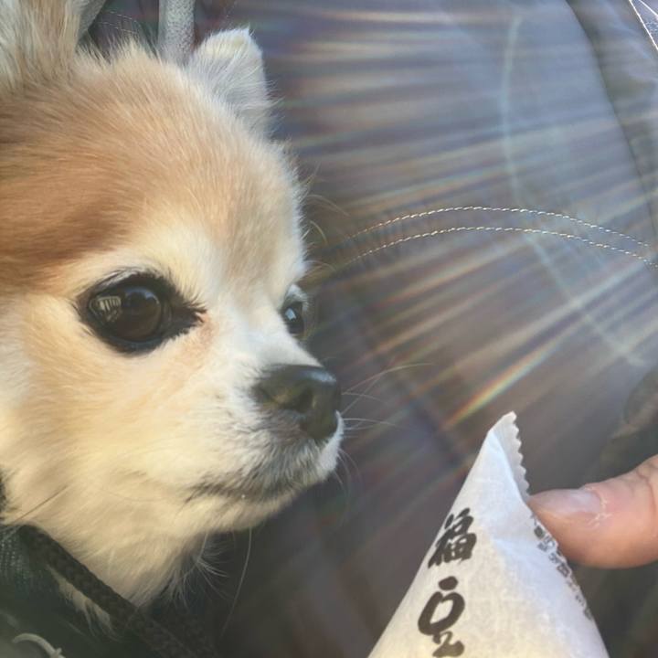 8c79e031 3756 4272 b6fb a0b7fde08afe 1770104053055